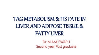TAG METABOLISM & ITS FATE IN
LIVER AND ADIPOSE TISSUE &
FATTY LIVER
Dr. M.ANUSWARU
Second year Post graduate
 