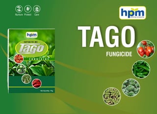 TAGOFUNGICIDE
 