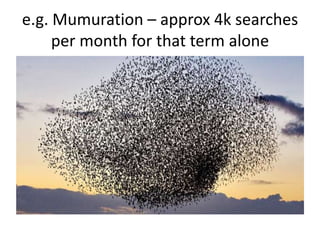 e.g. Mumuration – approx 4k searches
     per month for that term alone
 