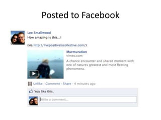 Posted to Facebook
 
