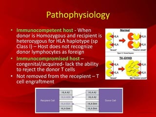Pathophysiology
• Immunocompetent host - When
donor is Homozygous and recipient is
heterozygous for HLA haplotype (sp
Class I) – Host does not recognize
donor lymphocytes as foreign
• Immunocompromised host –
congenital/acquired- lack the ability
to reject the donor T cells
• Not removed from the recepient – T
cell engraftment
 