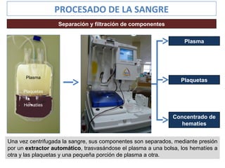 Separación y filtración de componentes
Plasma
Hematíes
Plaquetas
Concentrado de
hematíes
Plasma
Plaquetas
Una vez centrifugada la sangre, sus componentes son separados, mediante presión
por un extractor automático, trasvasándose el plasma a una bolsa, los hematíes a
otra y las plaquetas y una pequeña porción de plasma a otra.
PROCESADO DE LA SANGRE
 