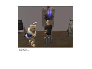 Stupid Llama.