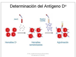 CC by_nc Manuel Francisco García Gálvez
@magargalvez ES Albaida
 