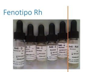 Fenotipo Rh
 