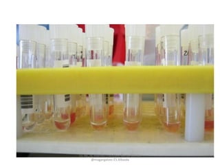 CC by_nc Manuel Francisco García Gálvez
@magargalvez ES Albaida
 