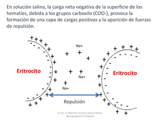 Na+
Eritrocito
Na+
Na+
Repulsión
Eritrocito
En solución salina, la carga neta negativa de la superficie de los
hematíes, debida a los grupos carboxilo (COO-), provoca la
formación de una capa de cargas positivas y la aparición de fuerzas
de repulsión.
CC by_nc Manuel Francisco García Gálvez
@magargalvez ES Albaida
 