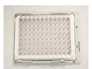 CC by_nc Manuel Francisco García Gálvez
@magargalvez ES Albaida
 