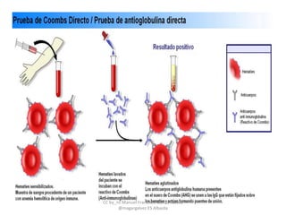 CC by_nc Manuel Francisco García Gálvez
@magargalvez ES Albaida
 