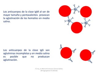 Los anticuerpos de la clase IgM al ser de
mayor tamaño y pentavalentes provocan
la aglutinación de los hematíes en medio
salino.
Los anticuerpos de la clase IgG son
aglutininas incompletas y en medio salino
es posible que no produzcan
aglutinación.
CC by_nc Manuel Francisco García Gálvez
@magargalvez ES Albaida
 