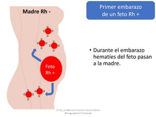 • Durante el embarazo
hematíes del feto pasan
a la madre.Feto
Rh +
D
DD
D
D
DD
D
D
DD
D
D
DD
D
D
DD
D
Madre Rh -
Primer embarazo
de un feto Rh +
CC by_nc Manuel Francisco García Gálvez
@magargalvez ES Albaida
 