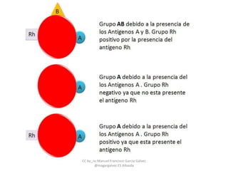 CC by_nc Manuel Francisco García Gálvez
@magargalvez ES Albaida
 