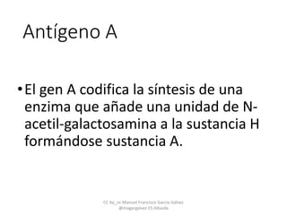 Antígeno A
•El gen A codifica la síntesis de una
enzima que añade una unidad de N-
acetil-galactosamina a la sustancia H
formándose sustancia A.
CC by_nc Manuel Francisco García Gálvez
@magargalvez ES Albaida
 