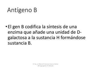 Antígeno B
•El gen B codifica la síntesis de una
enzima que añade una unidad de D-
galactosa a la sustancia H formándose
sustancia B.
CC by_nc Manuel Francisco García Gálvez
@magargalvez ES Albaida
 