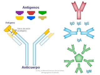 CC by_nc Manuel Francisco García Gálvez
@magargalvez ES Albaida
 