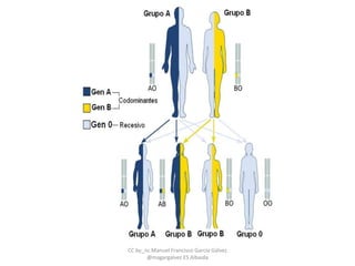 CC by_nc Manuel Francisco García Gálvez
@magargalvez ES Albaida
 