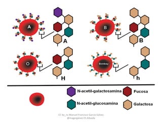 CC by_nc Manuel Francisco García Gálvez
@magargalvez ES Albaida
 