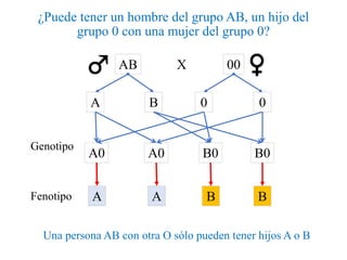 ¿Puede tener un hombre del grupo AB, un hijo del
grupo 0 con una mujer del grupo 0?
Una persona AB con otra O sólo pueden tener hijos A o B
XAB 00
A B 0
A0 B0 B0A0
Genotipo
0
Fenotipo A A B B
 