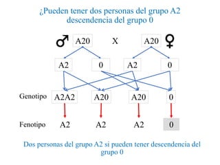 ¿Pueden tener dos personas del grupo A2
descendencia del grupo 0
Dos personas del grupo A2 si pueden tener descendencia del
grupo 0
XA20 A20
A2 0 0
A2A2 A20 0A20Genotipo
A2
Fenotipo A2 A2 A2 0
 