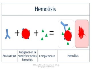 CC by_nc Manuel Francisco García Gálvez
@magargalvez ES Albaida
 
