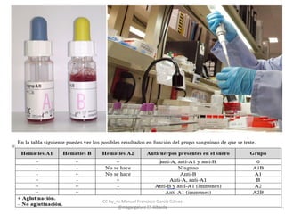 CC by_nc Manuel Francisco García Gálvez
@magargalvez ES Albaida
 