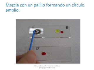 Mezcla con un palillo formando un círculo
amplio.
CC by_nc Manuel Francisco García Gálvez
@magargalvez ES Albaida
 