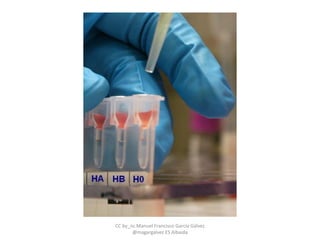 CC by_nc Manuel Francisco García Gálvez
@magargalvez ES Albaida
 