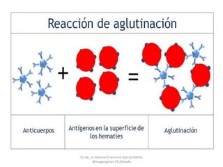 CC by_nc Manuel Francisco García Gálvez
@magargalvez ES Albaida
 