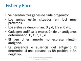 Fisher y Race
• Se heredan tres genes de cada progenitor.
• Los genes están situados en loci muy
próximos.
• Los alelos se denominan: D y d, E y e, C y c.
• Cada gen codifica la expresión de un antígenos
determinado: D, C, c, E , e.
• El gen d es amorfo no expresa ningún
antígeno.
• La presencia o ausencia del antígeno D
determina si una persona es Rh positivo o Rh
negativo.
CC by_nc Manuel Francisco García Gálvez
@magargalvez ES Albaida
 
