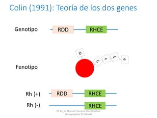 Colin (1991): Teoría de los dos genes
RDD RHCEGenotipo
Fenotipo
RDD RHCE
RHCE
Rh (+)
Rh (-)
CC by_nc Manuel Francisco García Gálvez
@magargalvez ES Albaida
 