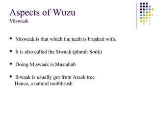 Aspects of Wuzu
Miswaak
 Miswaak is that which the teeth is brushed with.
 It is also called the Siwaak (plural: Sook)
 Doing Miswaak is Mustahab
 Siwaak is usually got from Araak tree
Hence, a natural toothbrush
 