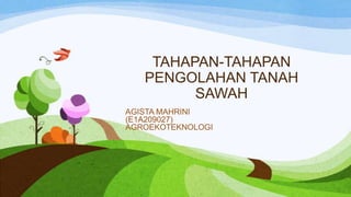 TAHAPAN-TAHAPAN
PENGOLAHAN TANAH
SAWAH
AGISTA MAHRINI
(E1A209027)
AGROEKOTEKNOLOGI
 