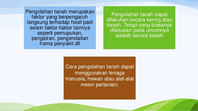 Tahapan tahapan pengolahan tanah sawah Tahapan tahapan pengolahan tanah sawah