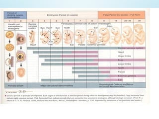 Comprehensive Guide to Normal Child Growth and Development Stages | PPTX