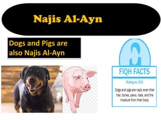 Dogs and Pigs are
also Najis Al-Ayn
 