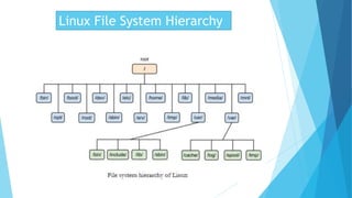 Tahir Ashraf [Linux file system herarchy].pptx