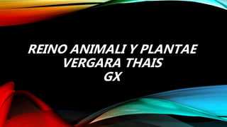 REINO ANIMALI Y PLANTAE
VERGARA THAIS
GX
 