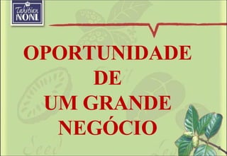 OPORTUNIDADE DE UM GRANDE NEGÓCIO 