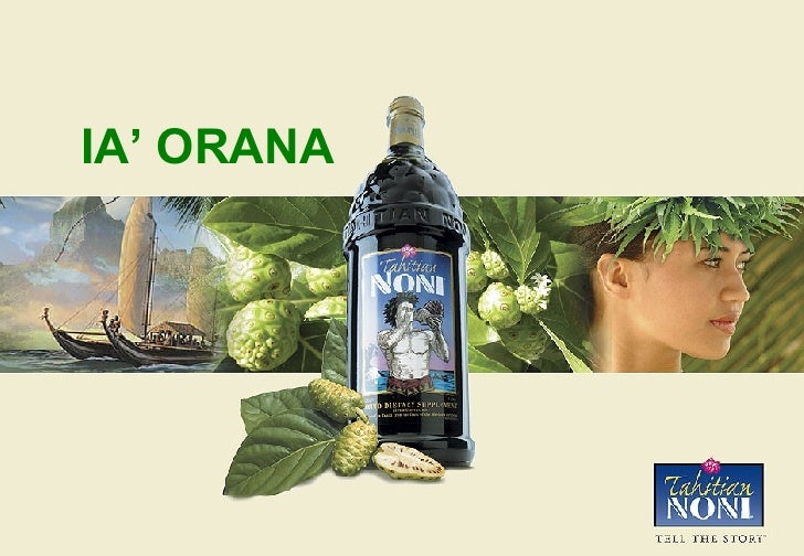 Divine noni business plan