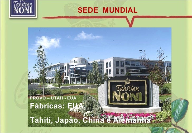 Divine noni business plan