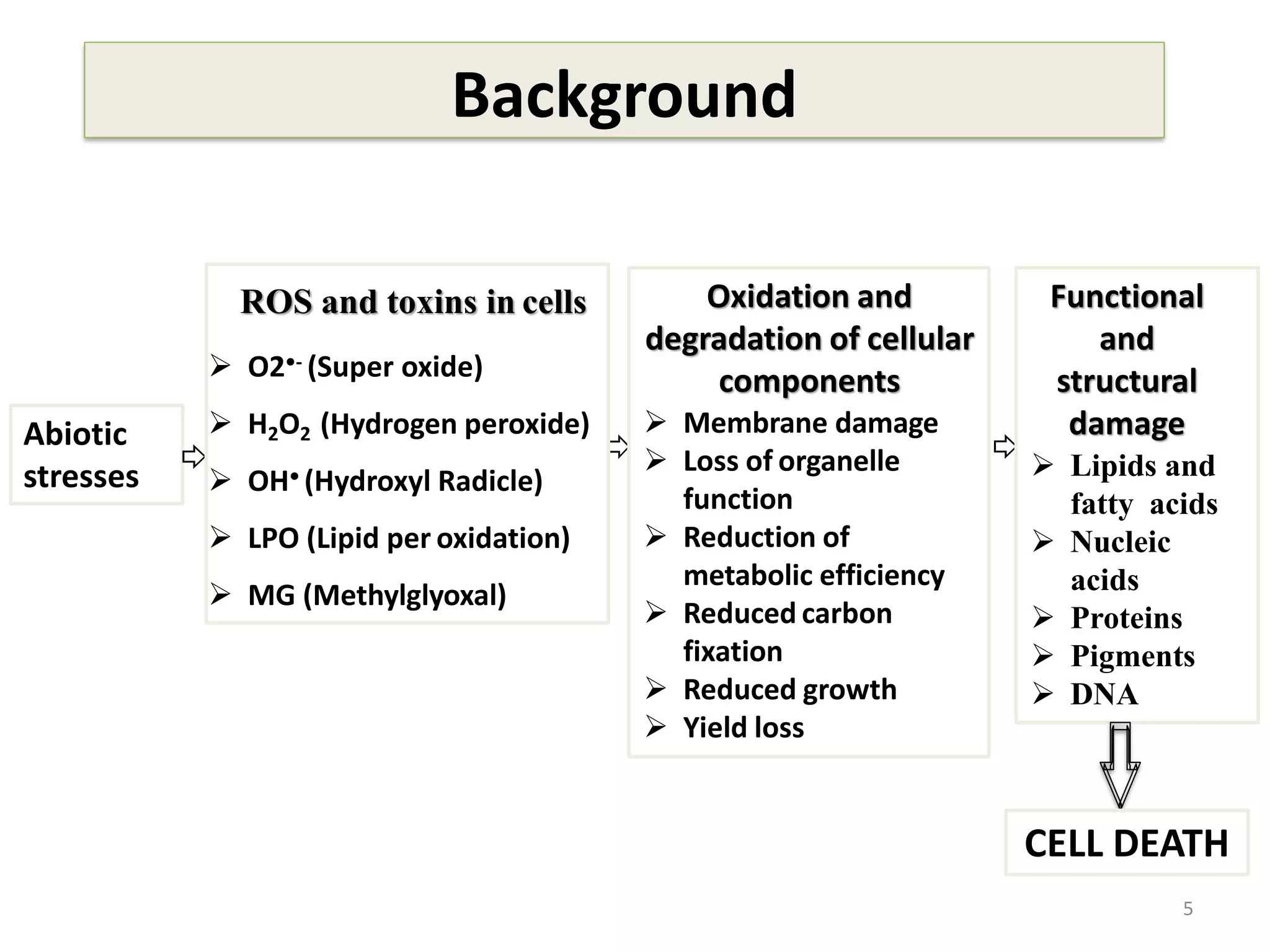 Background
5
Abiotic
stresses
Oxidation and
degradation of cellular
components
 Membrane damage
 Loss of organelle
function
 Reduction of
metabolic efficiency
 Reduced carbon
fixation
 Reduced growth
 Yield loss
Functional
and
structural
damage
 Lipids and
fatty acids
 Nucleic
acids
 Proteins
 Pigments
 DNA
CELL DEATH
ROS and toxins in cells
 O2•- (Super oxide)
 H2O2 (Hydrogen peroxide)
 OH• (Hydroxyl Radicle)
 LPO (Lipid per oxidation)
 MG (Methylglyoxal)
 