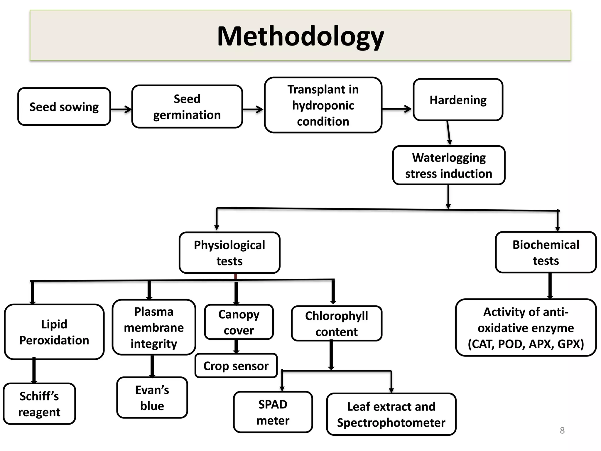Methodology
8
Seed sowing
Seed
germination
Transplant in
hydroponic
condition
Hardening
Waterlogging
stress induction
Physiological
tests
Biochemical
tests
Plasma
membrane
integrity
Canopy
cover
Chlorophyll
content
Activity of anti-
oxidative enzyme
(CAT, POD, APX, GPX)
Lipid
Peroxidation
Leaf extract and
Spectrophotometer
SPAD
meter
Crop sensor
Evan’s
blue
Schiff’s
reagent
 