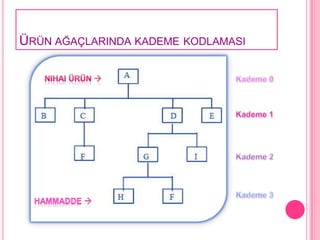 ÜRÜN AĞAÇLARINDA KADEME KODLAMASI
 
