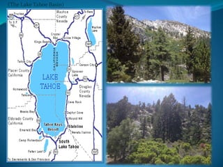 (The Lake Tahoe Basin)
 