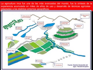 La agricultura inca fue una de las más avanzadas del mundo, fue la síntesis de la 
experiencia acumulada en miles de años de uso y desarrollo de técnicas agrícolas , 
adaptadas a los distintos entornos geográficos. 
Lic. Luis Enrique Ríos Garabito 
 