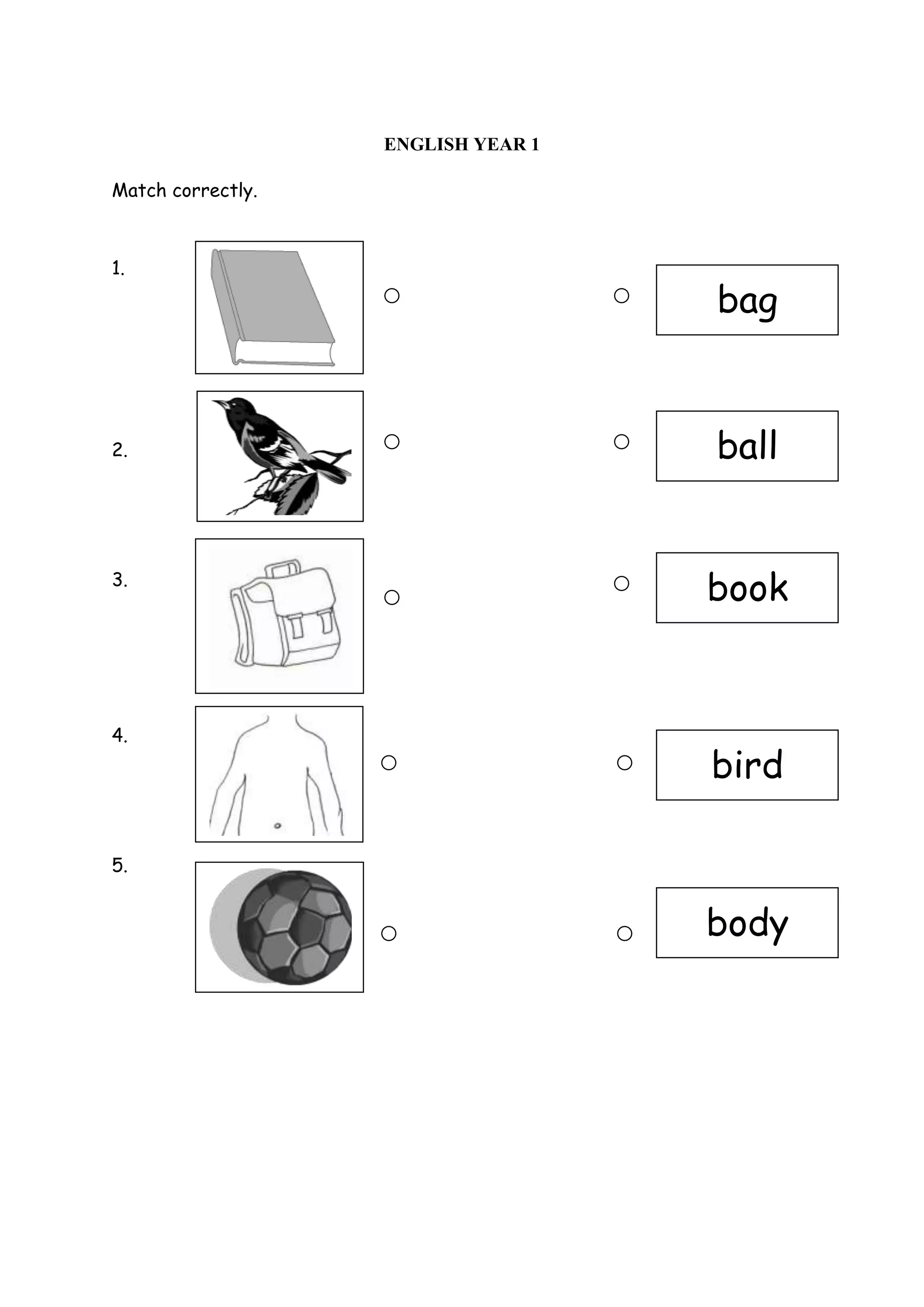 ENGLISH YEAR 1
Match correctly.
1.
2.
3.
4.
5.
book
bird
body
bag
ball
