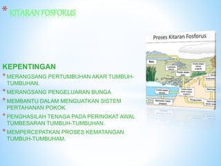 Semula air proses jadi kitaran Kitaran Air