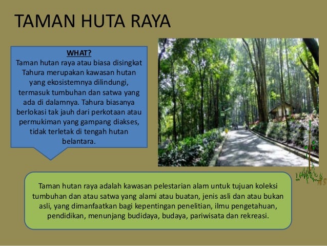 Ekologi Taman Hutan Raya Ir H Djuanda