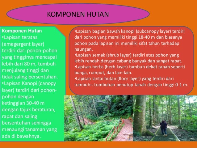 Ekologi Taman Hutan Raya Ir H Djuanda