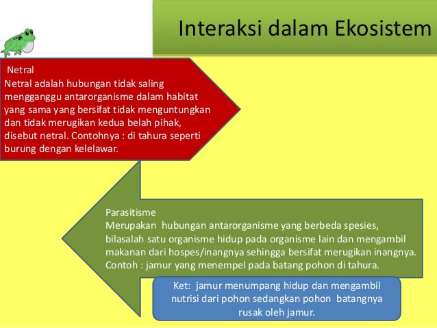 Ekologi Taman Hutan Raya Ir H Djuanda